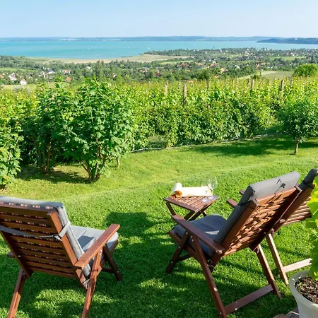 In - Balaton 42695 *