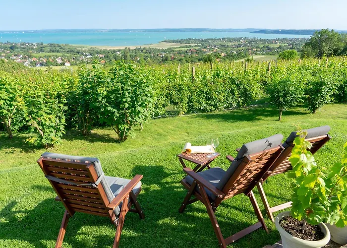 In - Balaton 42695 *